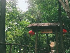 -井塘古村
