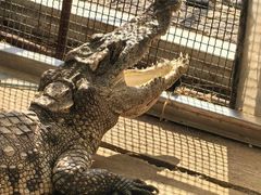 -石家庄市动物园