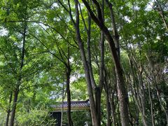 -辛亥革命博物院北区