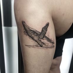 动物-晓乙刺青TATTOO