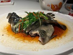 -大千金齐齐哈尔烤肉(清湖店)