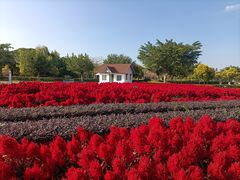 -广东花都香草世界旅游度假区