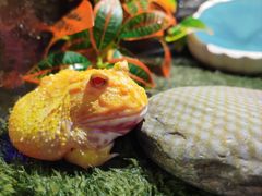 -太平洋海底世界