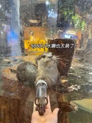 -Zoolung Zoolung动物主题公园(海信广场店)