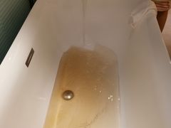 -常州环球恐龙城维景国际大酒店