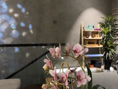 -施奈儿.洗头頭療.按摩SPA.采耳(上梅林店)