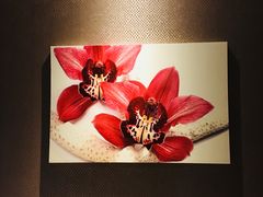 -Let's Relax Spa(Phuket 3rd Street)