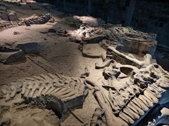 -自贡恐龙博物馆