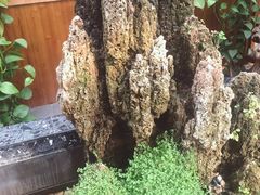 -华源足浴棋牌SPA