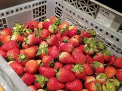 -喜茶(广州北京路惠福东店)