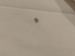 -南京商茂国际酒店(新街口德基广场店)