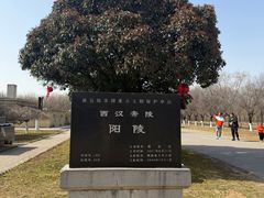 -汉景帝阳陵博物院