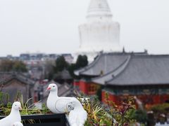 -妙应寺白塔