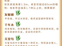 -研筑国际设计事务所(总店)