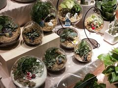 -The Green Party(嘉里中心店)
