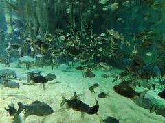 -福州罗源湾海洋世界旅游区