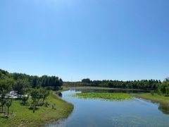 -东郊湿地公园