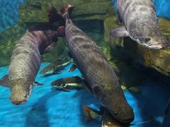 -石林冰雪海洋世界