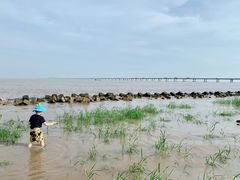 -南汇嘴观海公园