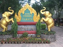 -西双版纳傣族园