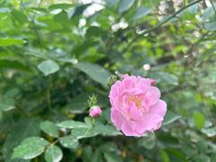 -白鹭湾湿地公园