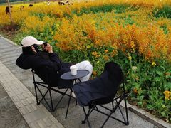 -三圣花乡旅游区