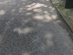 -两江国际影视城