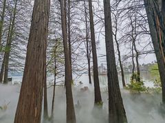 -东湖落雁景区