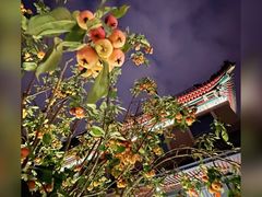 -北京友谊宾馆·俄罗斯餐厅