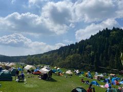 -武陵山森林公园