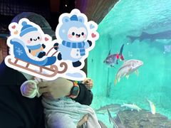 -太平洋海底世界