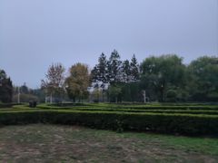 -洛阳市隋唐城遗址植物园