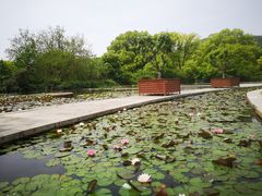 -白马涧龙池景区