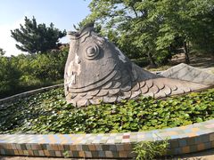 -日照海滨国家森林公园