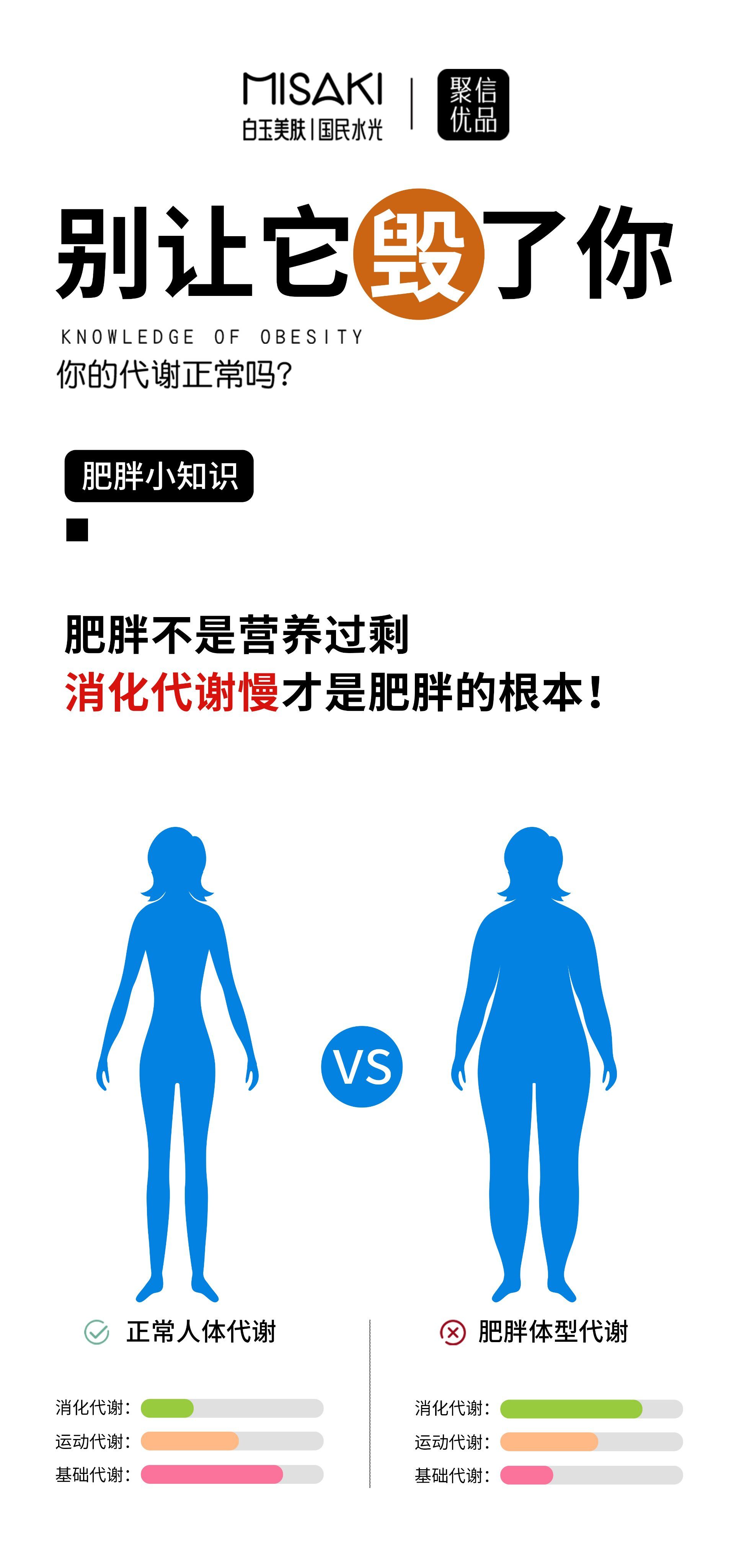 体重管理：健康生活的小船需要不断修补的帆
