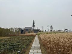 -中国天府农业博览园