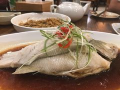 -禧福楼·十五年老店(科技城店)