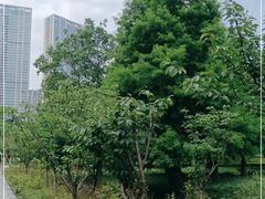 -苏州东太湖生态园