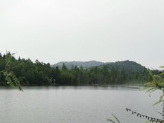 -五营红松林海景区