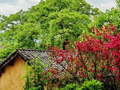 -苍山世界地质公园·石门关大峡谷