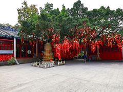 -国恩寺