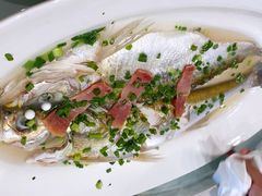 清蒸白条-烟水渔庄餐厅(西溪湿地店)