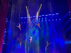 -水秀国际大剧院