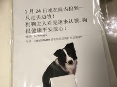 -艾泽瑞斯图文快印打印复印证件照设计名片画册(艾泽瑞斯打印复印洗照片店)