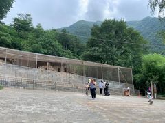 -王顺山国家森林公园