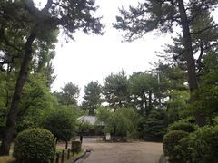 -名古屋城