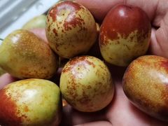 -三亚新鸿港水果一级批发市场