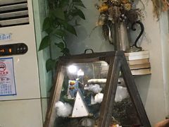 -海边的猫和咖啡馆