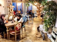 大堂-共舞时光猫咖·狗咖(新街口店)