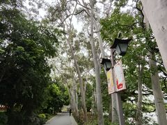-西湖公园(鼓楼区)